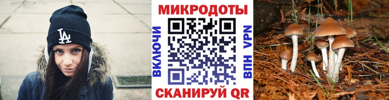 дарнет шоп  Бежецк  Псилоцибиновые грибы Magic Shrooms 